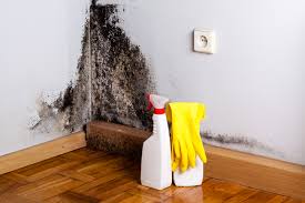 Best Forensic Mold Investigation  in Port Arthur, TX